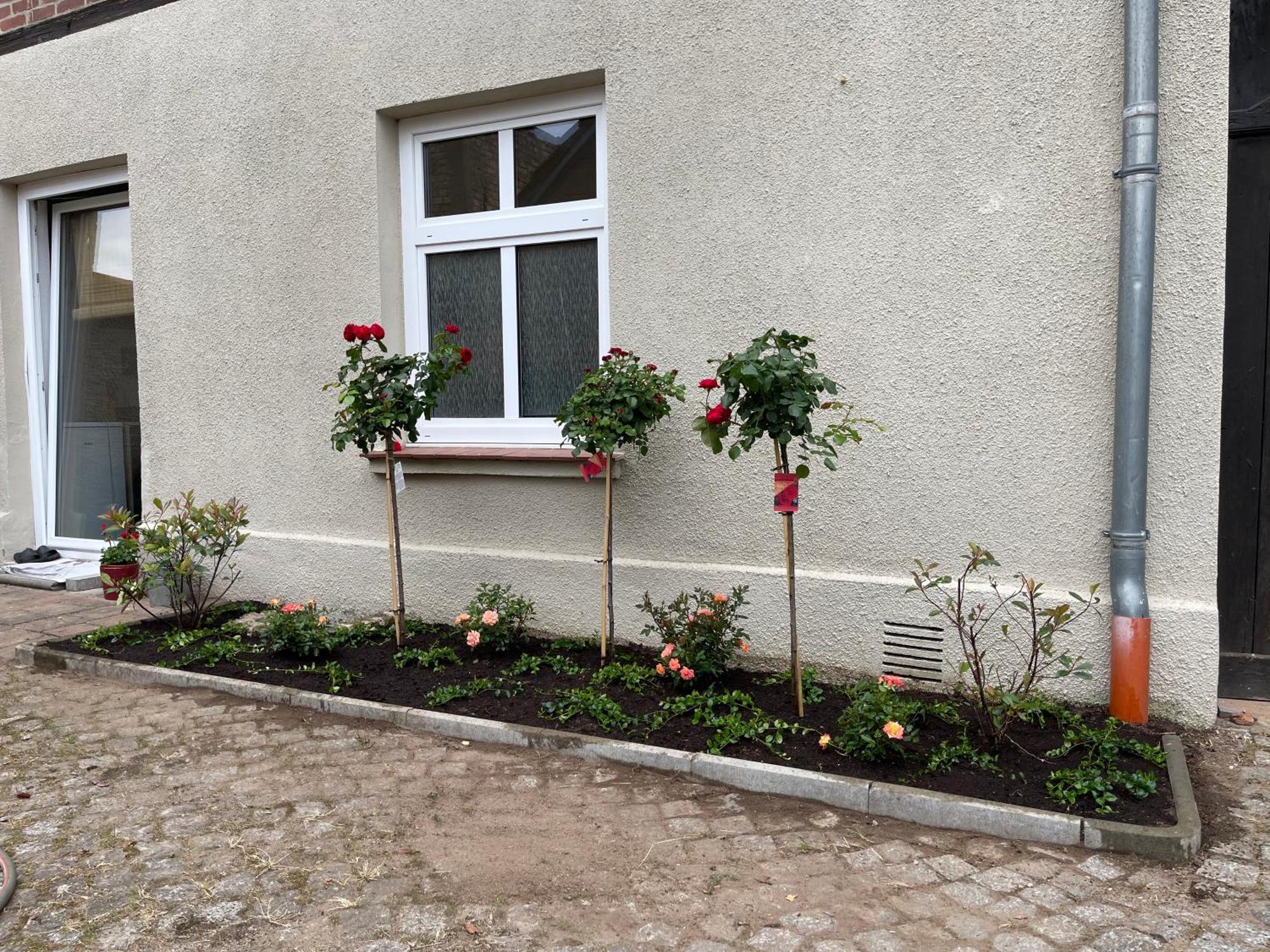 Hofquartier Schwerin Apartment Schwerin  Exterior photo